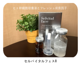 ヒト幹細胞フェイシャル2コースの違い。
