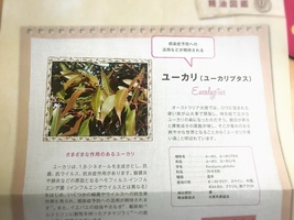 ユーカリの青い森