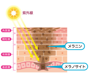 気になるシミのお手入れには、これ！