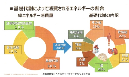 代謝をあげるには基礎代謝をあげる！その意外な方法とは？