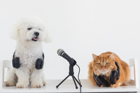 ドックスキャン🄬体験会開催します