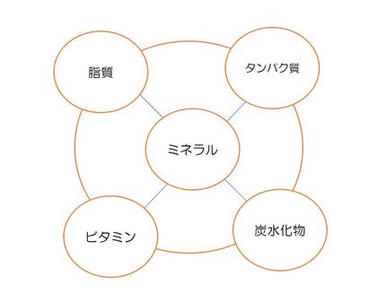野菜から栄養が摂れなくなっています。