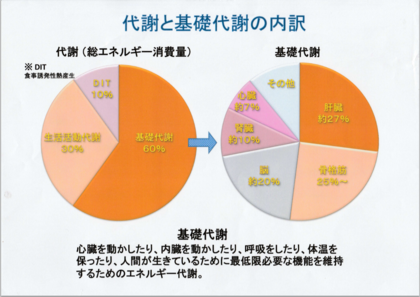 基礎代謝をあげるメニュー。